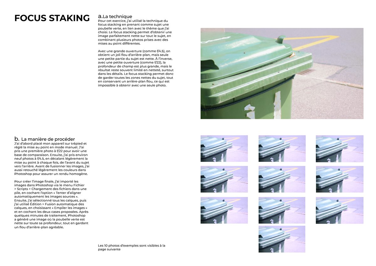 Page « Focus stacking » : dix photos empilées pour un sujet net de bout en bout.